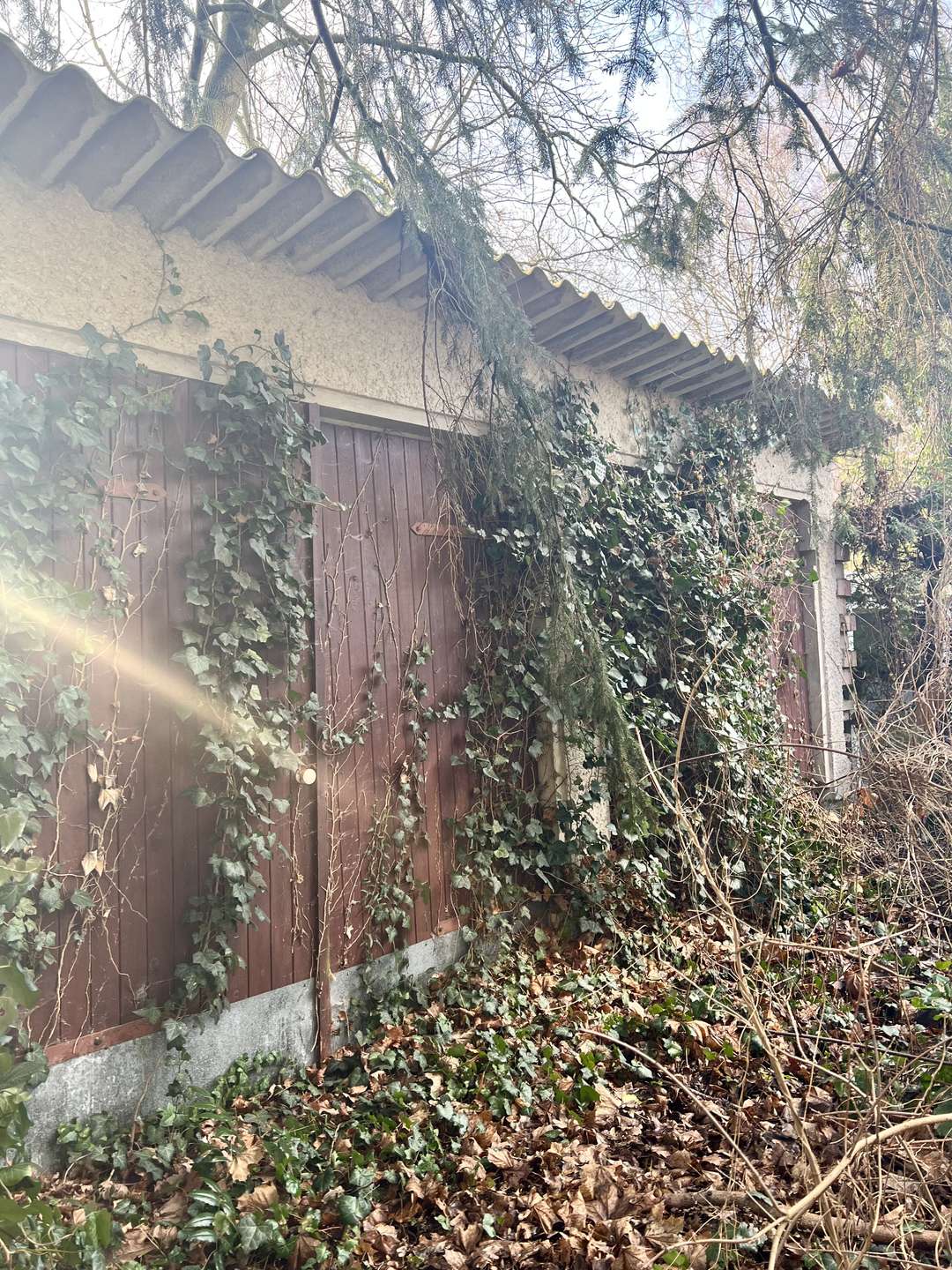 Aussenansicht-Garage