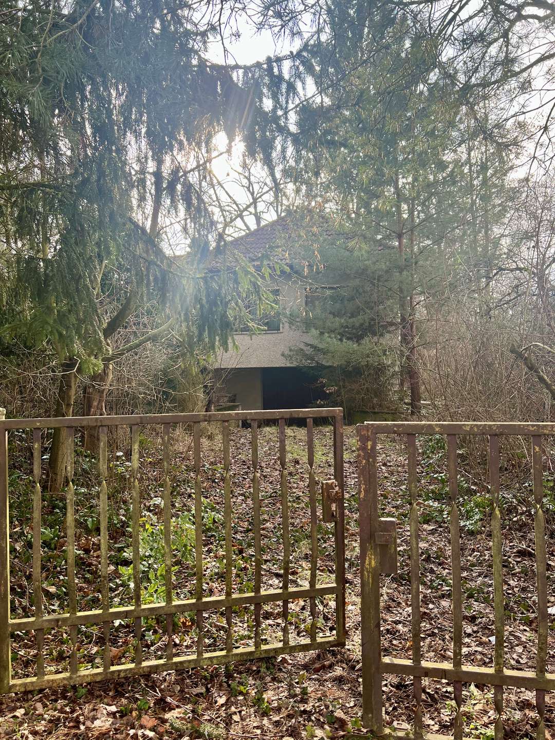 Zugang-zum-Grundstueck-1